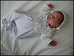 DSC00050.JPG