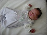 DSC00052.JPG